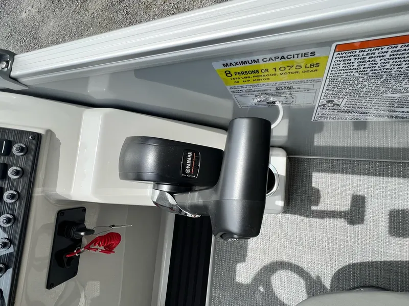 Slide: The Image of Sylvan Mirage 818 Fish 2025 - 22