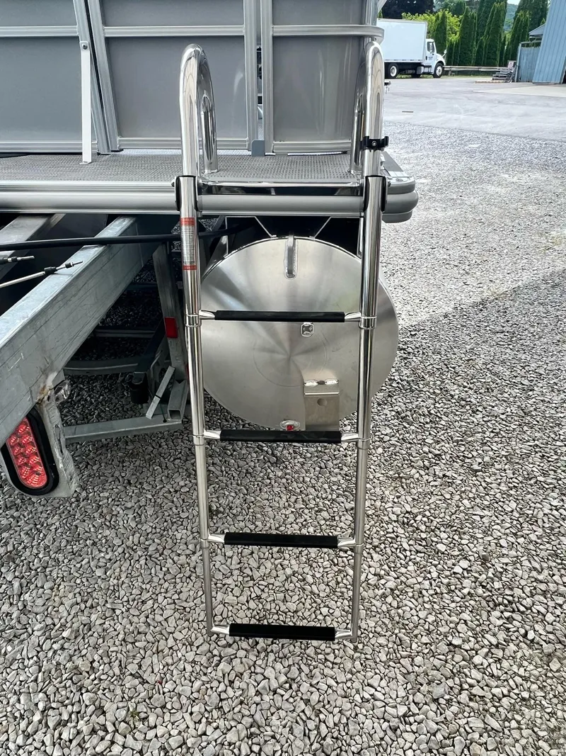 Slide: The Image of Sylvan Mirage 818 Fish 2025 - 23