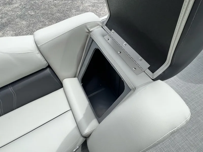 Slide: The Image of Sylvan Mirage 818 Fish 2025 - 24