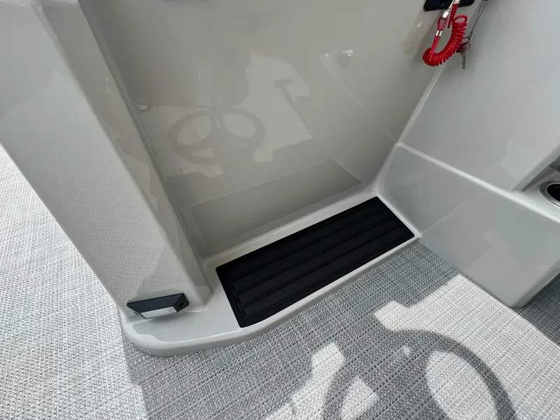 Slide: The Image of Sylvan Mirage 818 Fish 2025 - 26