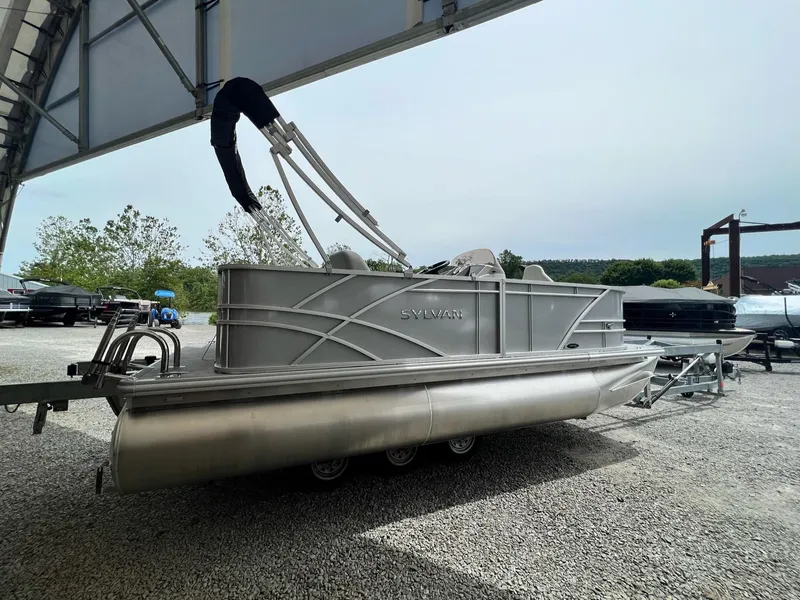 Slide: The Image of Sylvan Mirage 818 Fish 2025 - 27