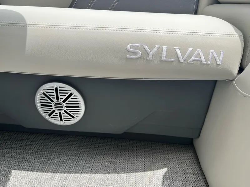 Slide: The Image of Sylvan Mirage 818 Fish 2025 - 3
