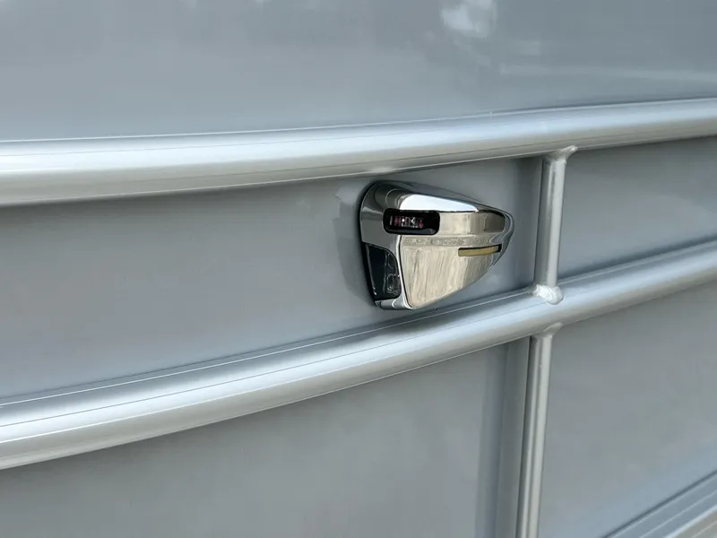 Slide: The Image of Sylvan Mirage 818 Fish 2025 - 30