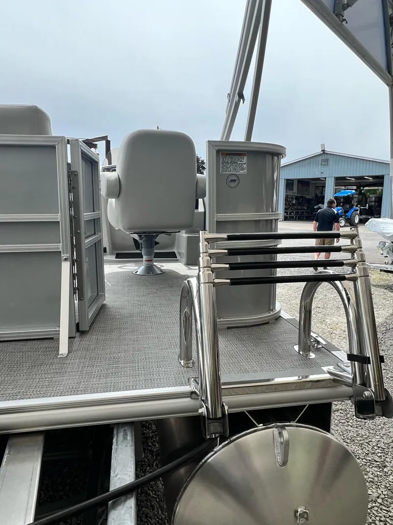 Slide: The Image of Sylvan Mirage 818 Fish 2025 - 35