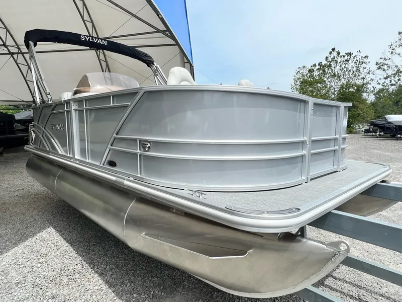 Slide: The Image of Sylvan Mirage 818 Fish 2025 - 4