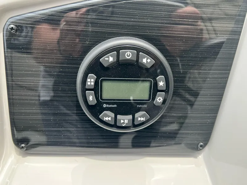 Slide: The Image of Sylvan Mirage 818 Fish 2025 - 9