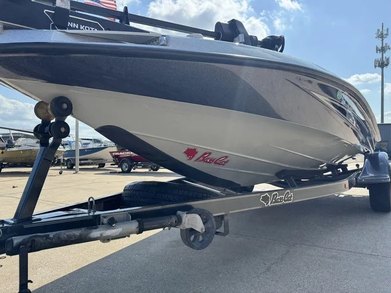 Slide: The Image of Bass Cat Lynx 2019 - 13