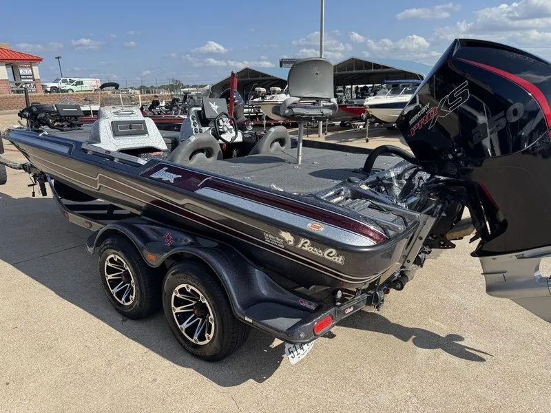 Slide: The Image of Bass Cat Lynx 2019 - 2