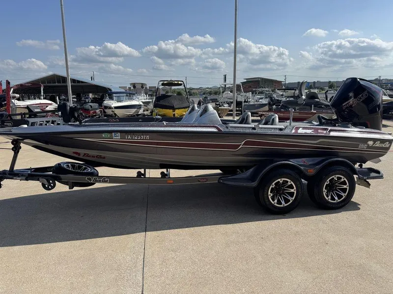 Slide: The Image of Bass Cat Lynx 2019 - 3