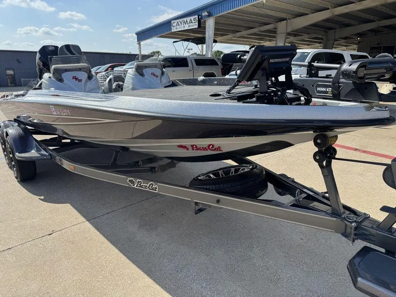 Slide: The Image of Bass Cat Lynx 2019 - 5