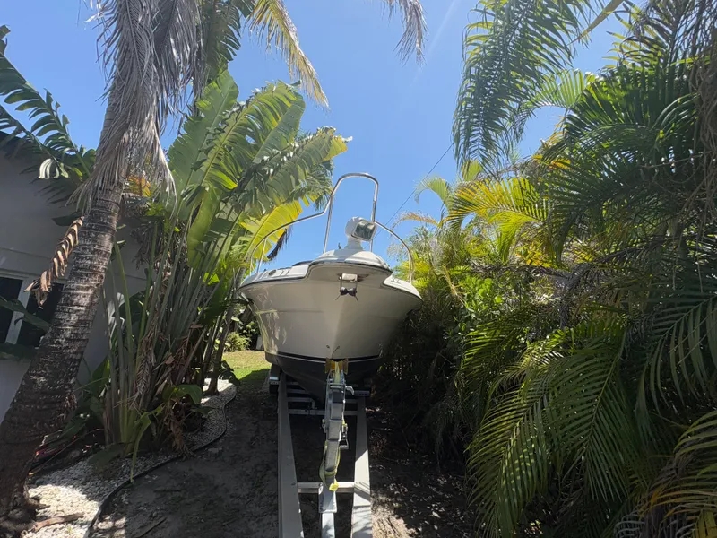 Slide: The Image of 1996 Sea Ray Sundancer 350 boat on trailer surrounded by tropical plants. - 2