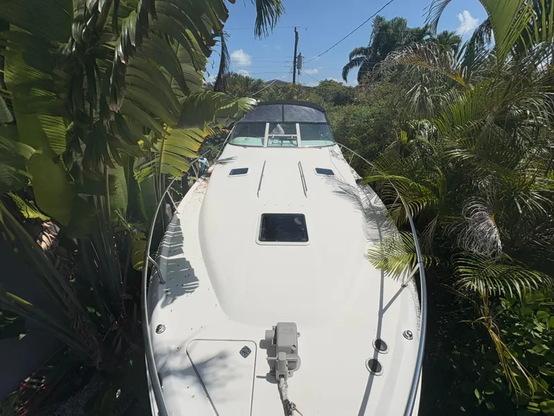 Slide: The Image of 1996 Sea Ray Sundancer 350 boat surrounded by lush tropical foliage. - 6