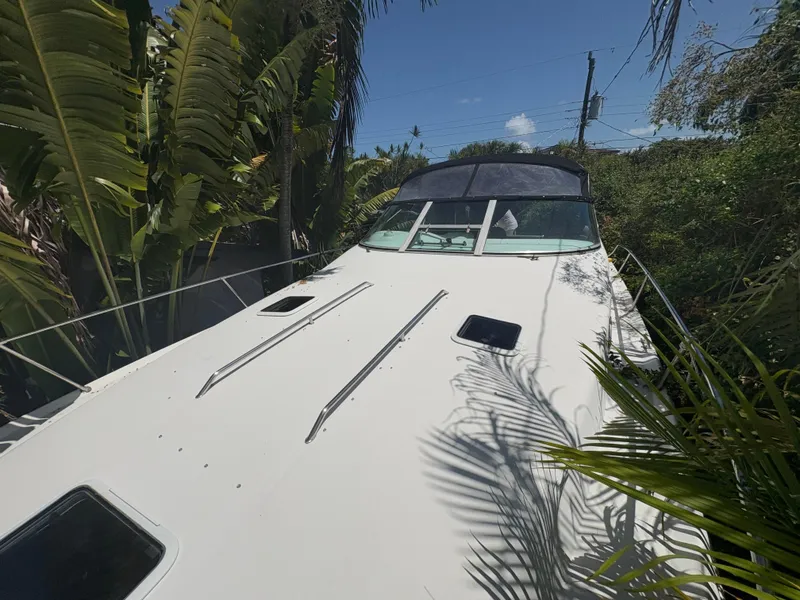 Slide: The Image of 1996 Sea Ray Sundancer 350 boat surrounded by lush greenery and clear blue sky. - 7