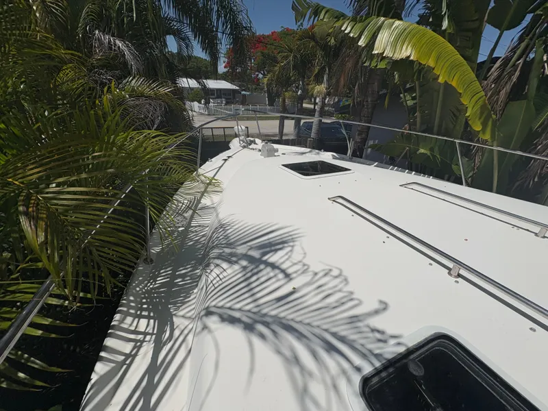 Slide: The Image of 1996 Sea Ray Sundancer 350 boat surrounded by lush tropical foliage. - 8