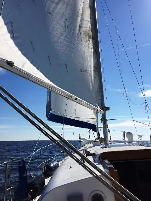 Slide: The Image of Sails_New Jib & reconditioned Main - 9