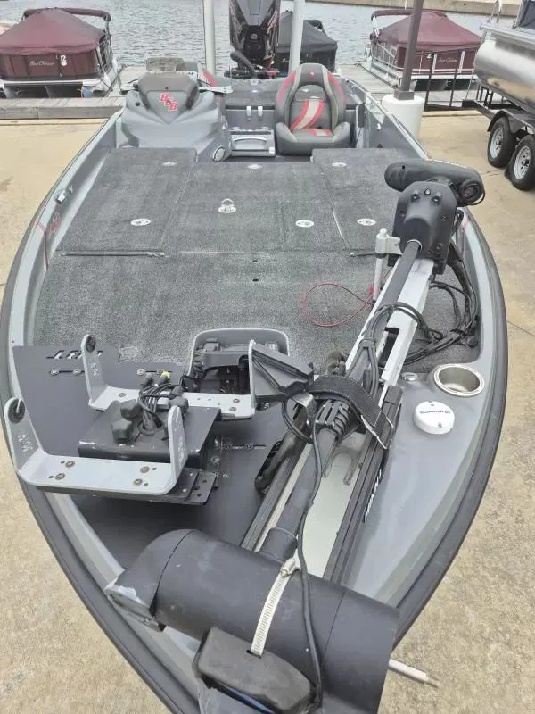 Slide: The Image of Bass Cat COUGAR FTD PREMIUM 2021 - 3