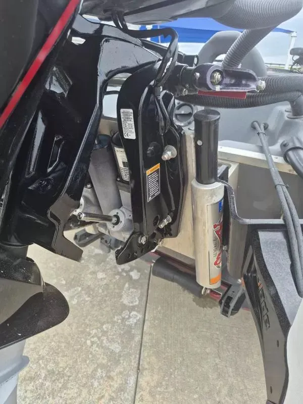 Slide: The Image of Bass Cat COUGAR FTD PREMIUM 2021 - 6