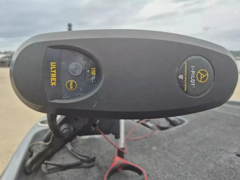 Slide: The Image of Bass Cat COUGAR FTD PREMIUM 2021 - 8