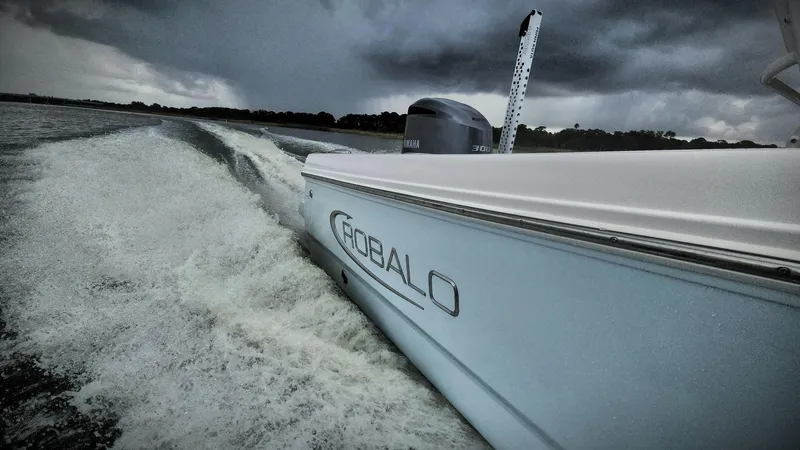 Slide: The Image of 2020 Robalo 246 Cayman boat cruising on water under stormy skies. - 2