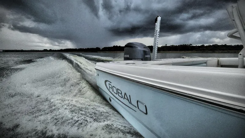Slide: The Image of 2020 Robalo 246 Cayman boat cruising under stormy skies. - 8