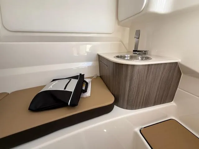 Slide: The Image of Sea Ray SDX 250 Outboard 2025 - 21