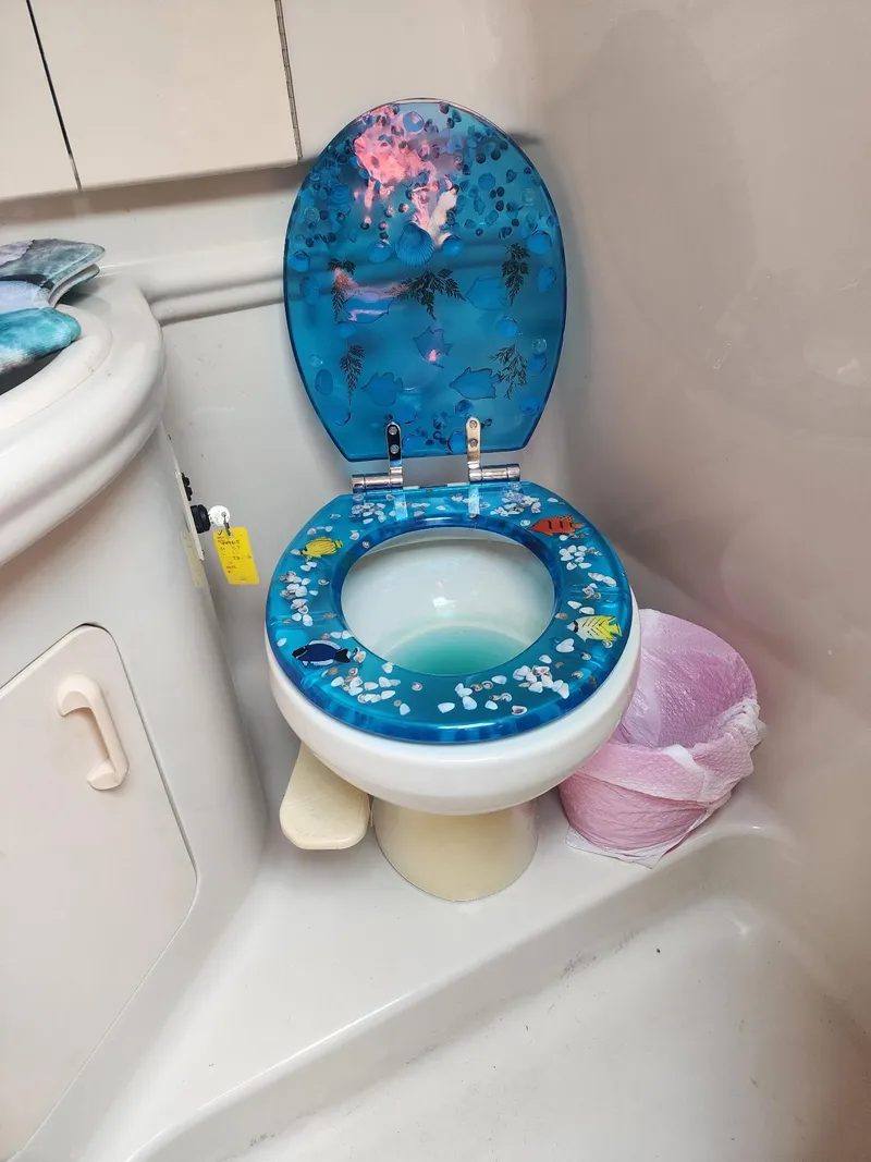 Slide: The Image of Decorative toilet seat in 2007 Sea Ray 280 Sundancer boat bathroom. - 15