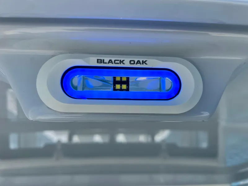 Slide: The Image of World Cat 400 CC-X 2022 - 84