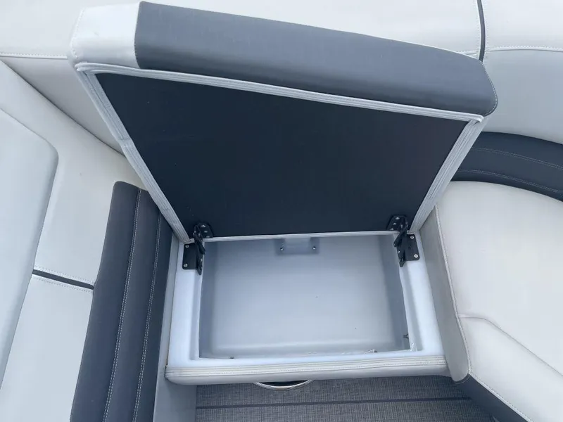 Slide: The Image of Sylvan G-3 DLZ DC 2024 - 19