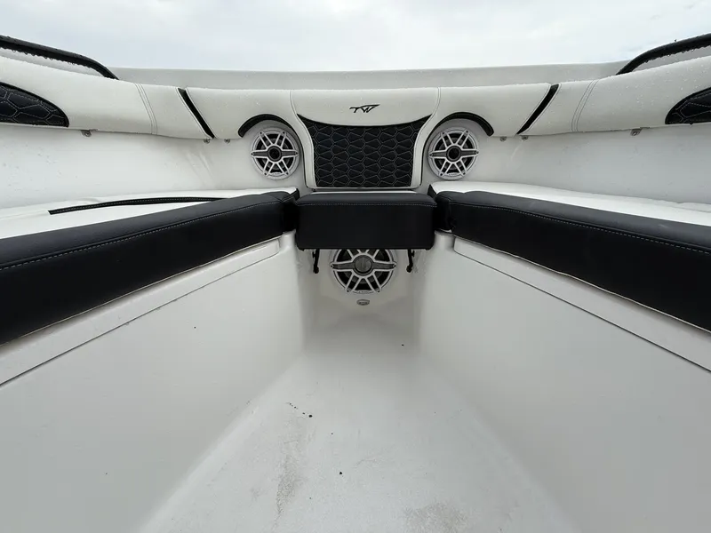 Slide: The Image of Tidewater 256 CC Adventure 2025 - 3