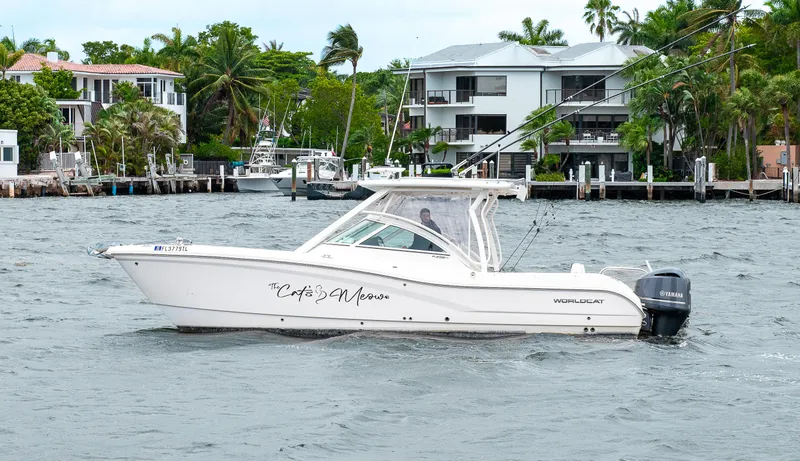 Slide: The Image of World Cat 296DC 2019 - 50