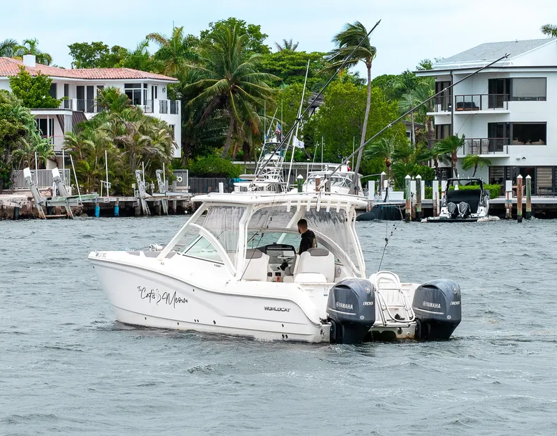 Slide: The Image of World Cat 296DC 2019 - 51