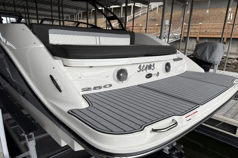 Slide: The Image of Sea Ray 250 SLX 2016 - 31