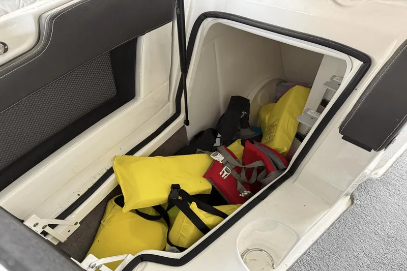 Slide: The Image of Sea Ray 250 SLX 2016 - 42