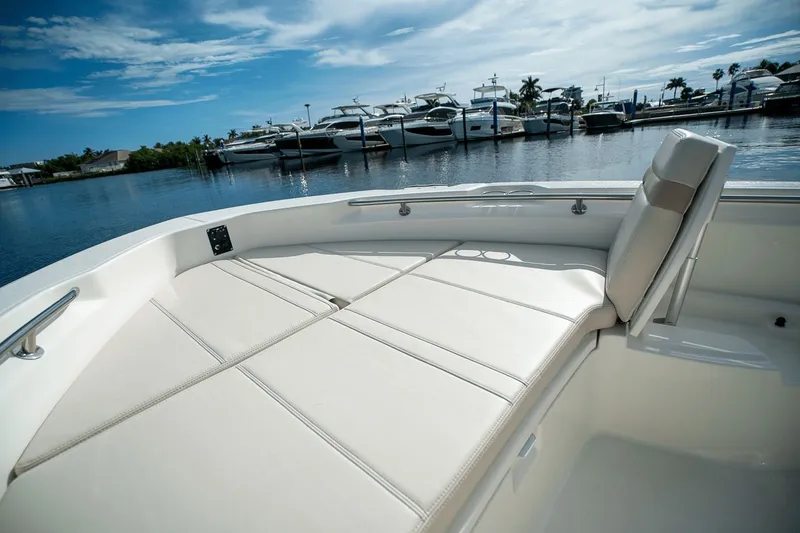 Slide: The Image of Boston Whaler 250 Dauntless 2026 - 16