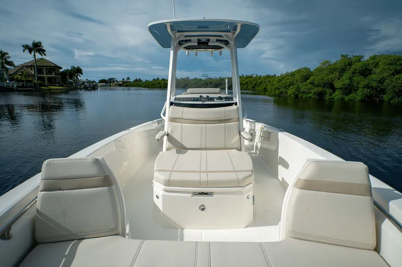 Slide: The Image of Boston Whaler 250 Dauntless 2026 - 17