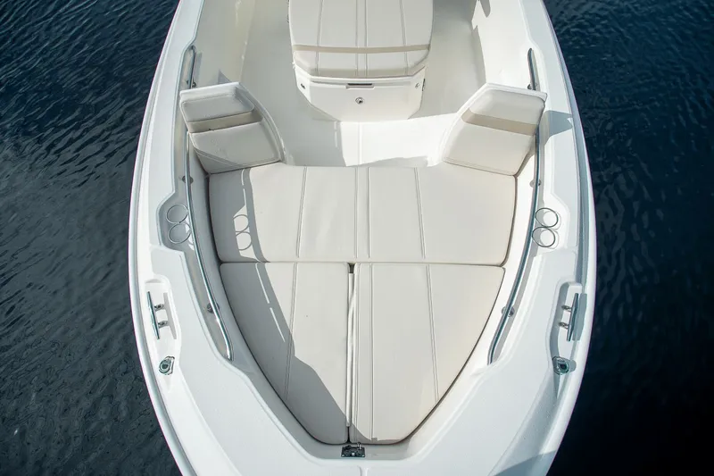 Slide: The Image of Boston Whaler 250 Dauntless 2026 - 18