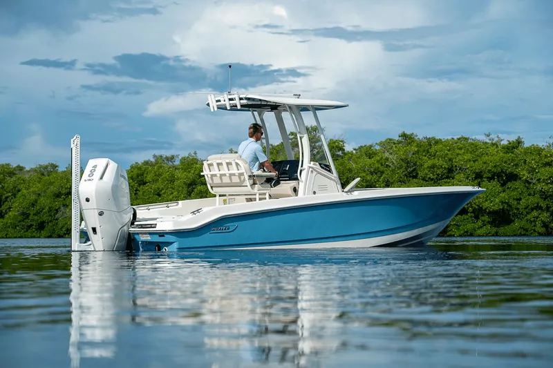 Slide: The Image of Boston Whaler 250 Dauntless 2026 - 19