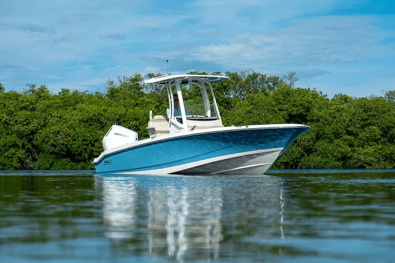 Slide: The Image of Boston Whaler 250 Dauntless 2026 - 24
