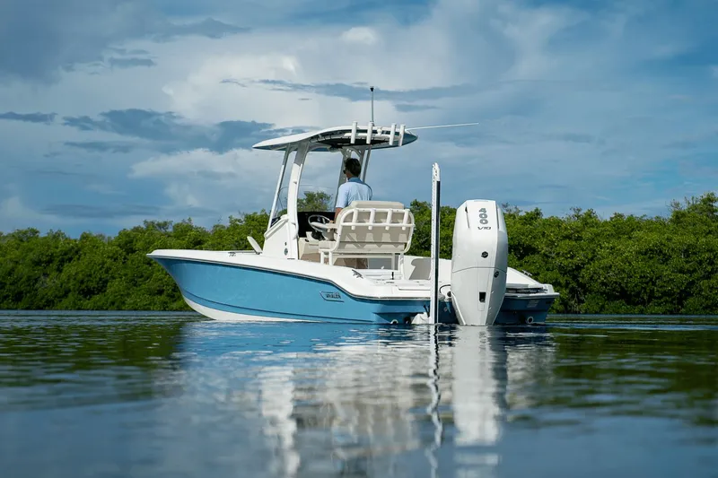 Slide: The Image of Boston Whaler 250 Dauntless 2026 - 32