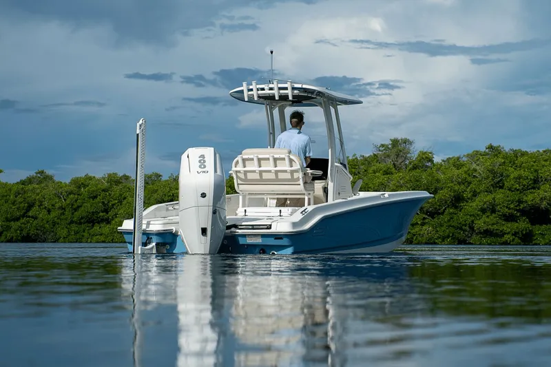 Slide: The Image of Boston Whaler 250 Dauntless 2026 - 35