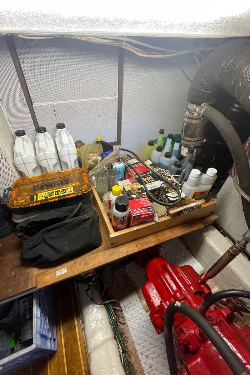 Slide: The Image of Albin 43 1982 - 99