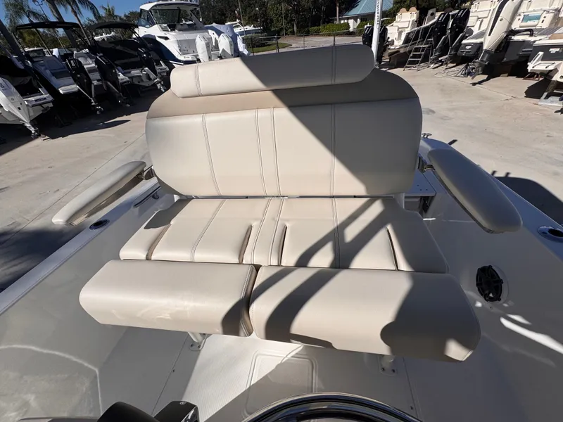 Slide: The Image of Boston Whaler 250 Dauntless 2026 - 19