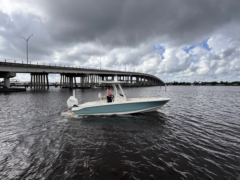 Slide: The Image of Boston Whaler 250 Dauntless 2026 - 2