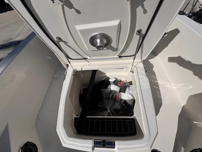 Slide: The Image of Boston Whaler 250 Dauntless 2026 - 23