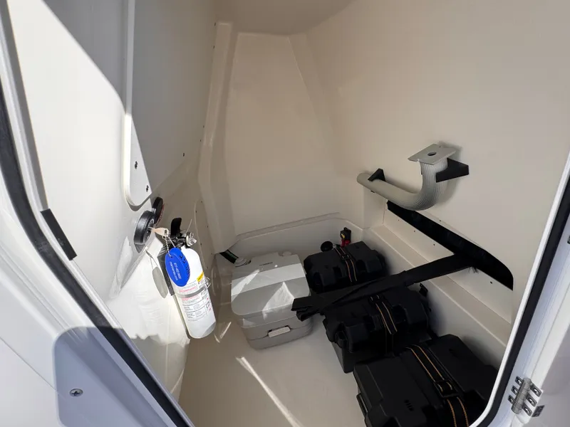 Slide: The Image of Boston Whaler 250 Dauntless 2026 - 26