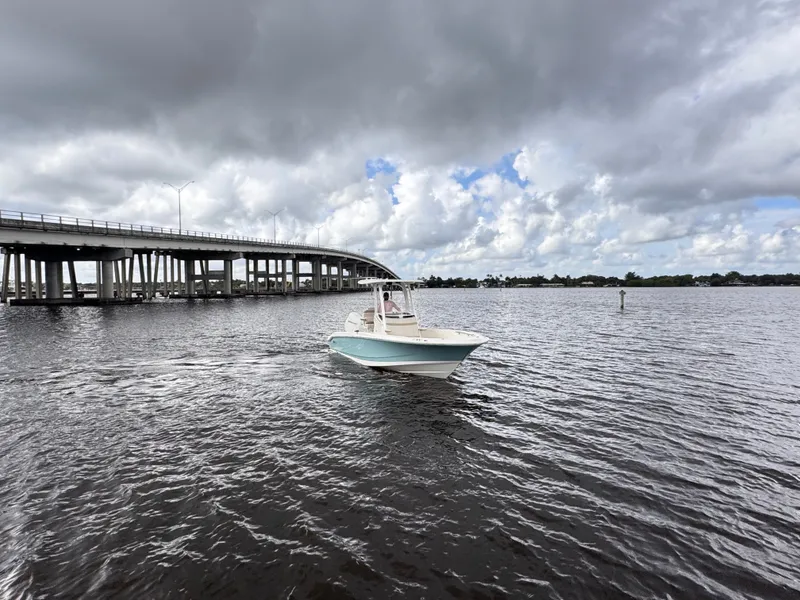 Slide: The Image of Boston Whaler 250 Dauntless 2026 - 3