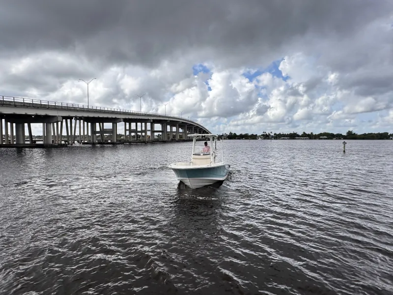 Slide: The Image of Boston Whaler 250 Dauntless 2026 - 4