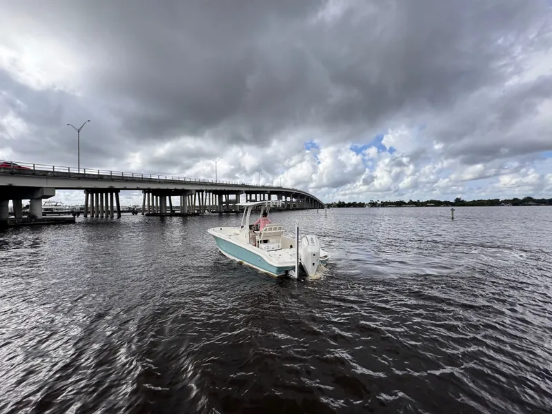 Slide: The Image of Boston Whaler 250 Dauntless 2026 - 5
