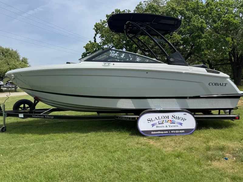 The Image of Cobalt R6 2026 - undefined