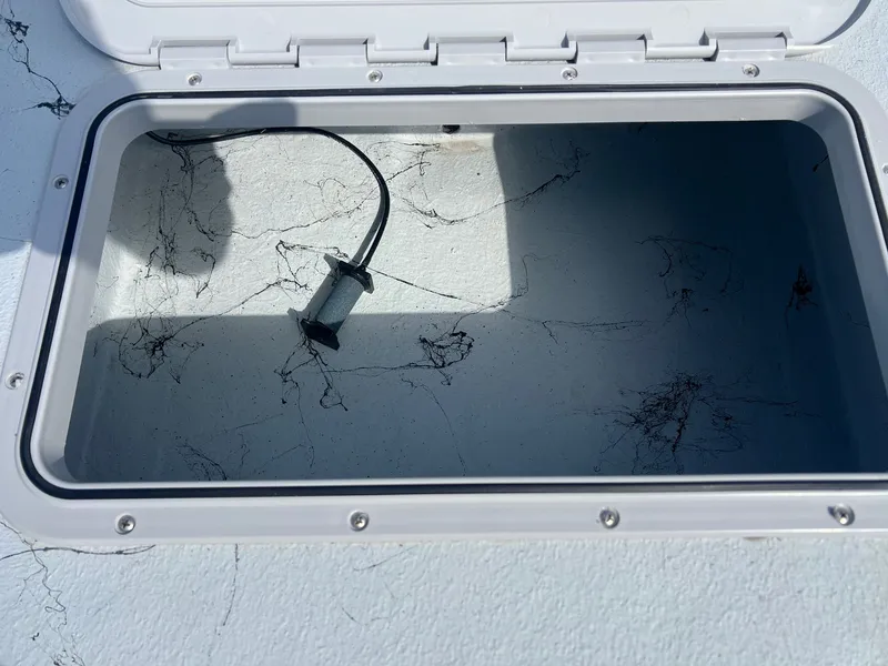 Slide: The Image of Shoalwater 21 Cat 2025 - 26